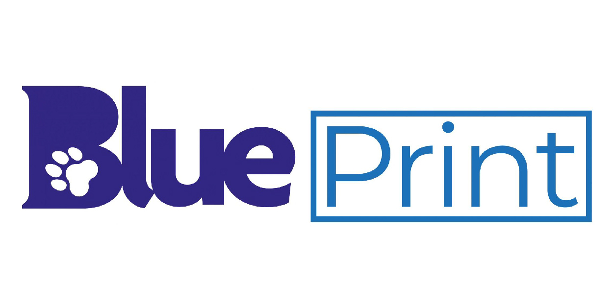 The Blueprint Limited